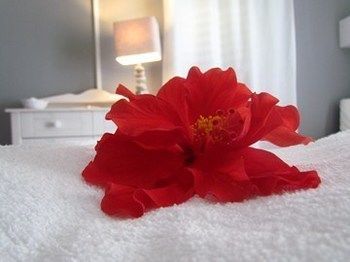 Hotel Odissea